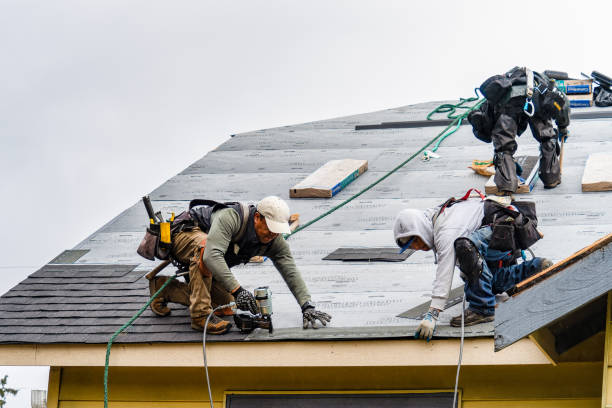Professional Gutter Installation technician working in Clarkrange, TN