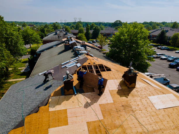 Trusted Gutter Installation service in Clarkrange, TN - Brentwood Metal Roofing